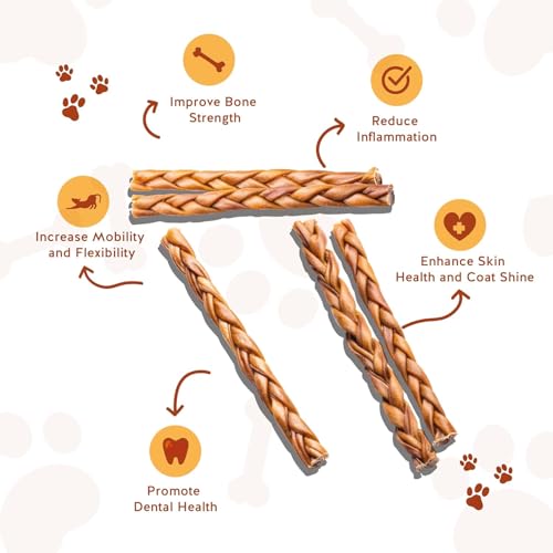 12" Braided Beef Collagen Sticks for Dogs (1 Count (Pack of 1))