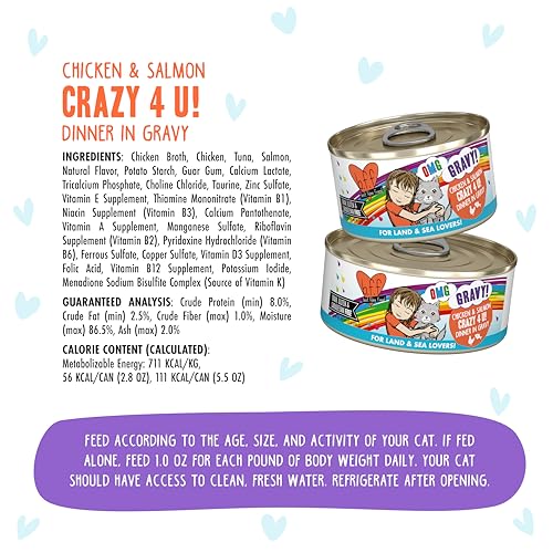 B.F.F. OMG Best Feline Friend Oh My Gravy! Grain (5.5 Ounce (Pack of 8))