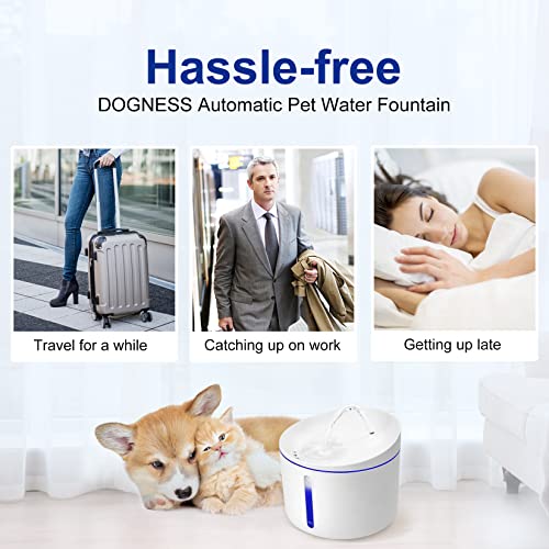 Mini Cat Water Fountain for Pet Cat & Small Dog 34oz (White)