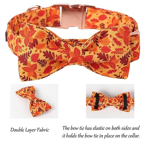 Dog Collar with Bowtie (A:Red Leaves / Large (Pack of 1))