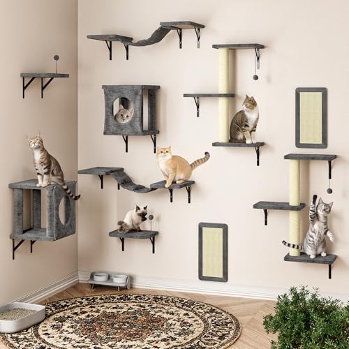 Cat Wall Shelves (Dark Grey)