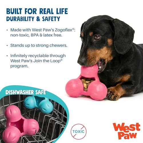 Zogoflex Tux Treat Dispensing Dog Chew Toy (Teal / Large)