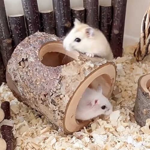 Habitat House Hideout for Hamster Mice