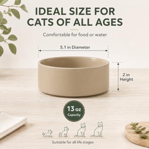 Cat Bowls Set of Two (Greige)