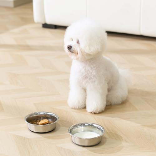 Dog Bowls Food Grade Stainless Steel for Food and Water (Gray / 2 Cup)