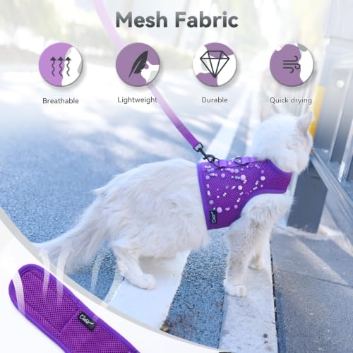 Cat Harness and Leash Set for Walking Escape Proof (Purple / M 5.5-9 lbs)