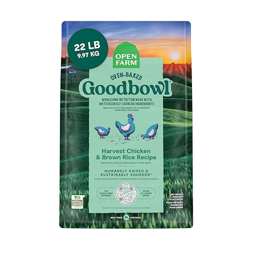 Goodbowl Dry Dog Food (22 Pound (Pack of 1))