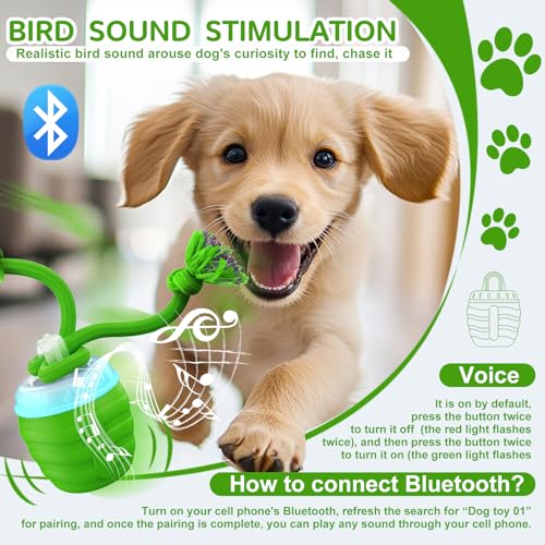 Interactive Dog Toy (Green / Medium/Large)
