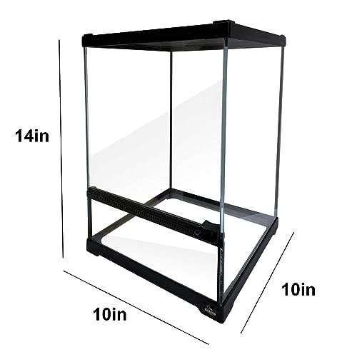 Reptile Glass Terrarium Tank 10 * 10 * 14in (10x10x14 inch)