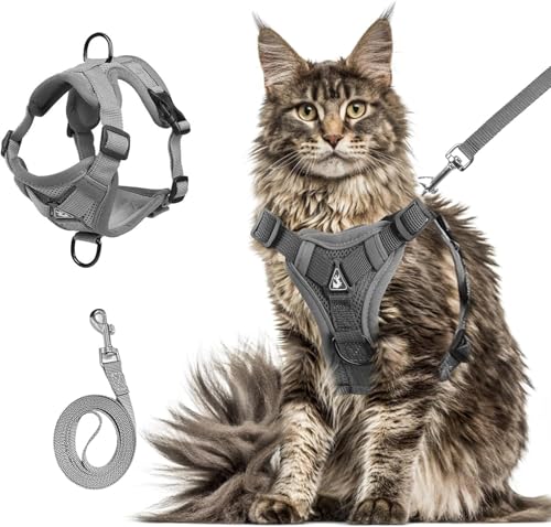 cat Chest Harness and Leash (grey / XL:16.5-22.04lb)