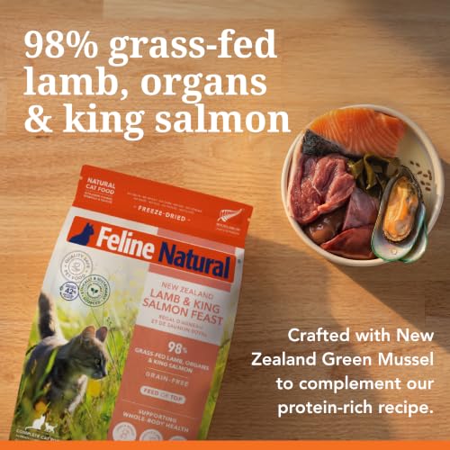 High Protein Freeze Dried Dry Cat Food with 98% Meat (11 Ounce (Pack of 1))