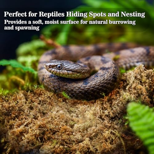 Sphagnum Moss for Reptiles & Plants (3.5 Ounces / Yellow Green)