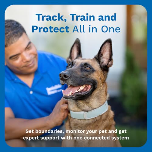 Brand GPS Collar + Tracking (GPS Fence Collar)
