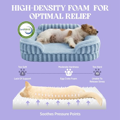 Cute Cozy High Back Orthopedic Dog Beds Medium Size Dog (28.0"l X 23.0"w X 6.5"th / Blue)