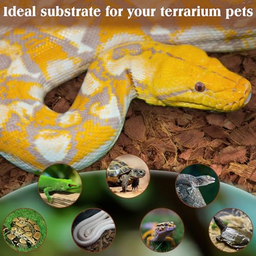 10LBS Coconut Husk Chip Substrate for Reptiles (1 Pack-10 LBS)