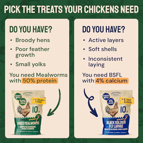 5lb Dried Mealworms for Chickens & Wild Birds (5 Pound (Pack of 1))