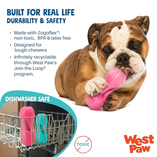 Qwizl Durable Zogoflex Dog Puzzle Toy for Mental Stimulation (Large / Geranium)