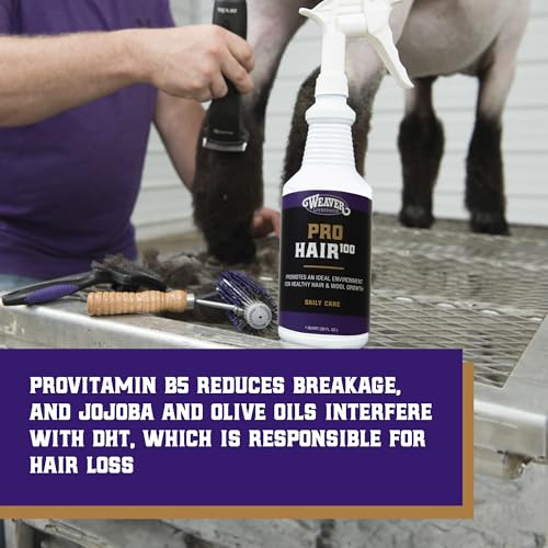 ProHair100 Healthy Hair and Wool Rejuvenating Livestock Hair Conditioner for Sheep (1 Gallon)