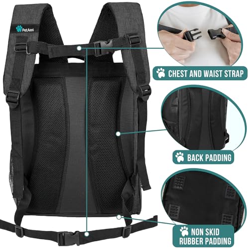 Dog Backpack Carrier Airline Approved Cat Pet Puppy Bag (Charcoal)