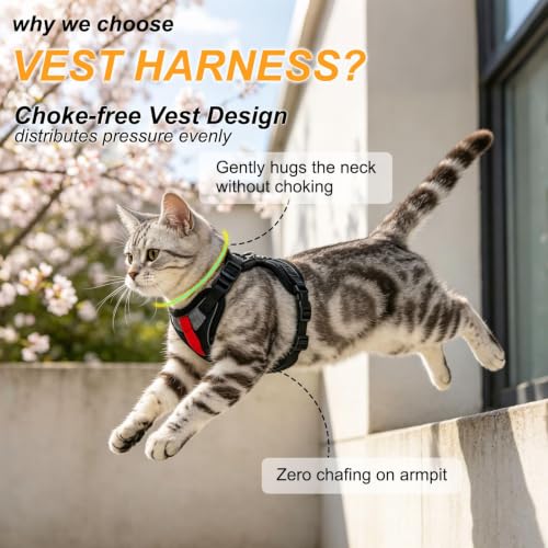Cat Harness and Leash (Black Suit / Medium (Chest: 16 - 20"))