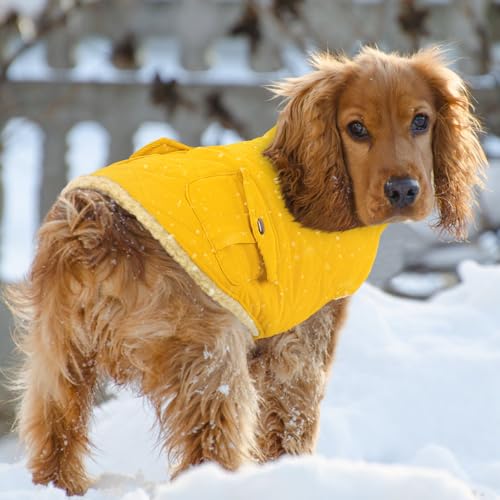 Waterproof Dog Winter Jacket Warm Puffer Coat Cold Weather Vest (X-Small / Yellow)