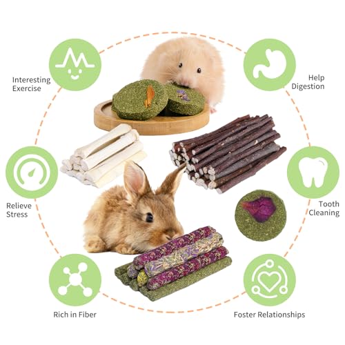 50 60 Pcs Rabbit Chew Toys