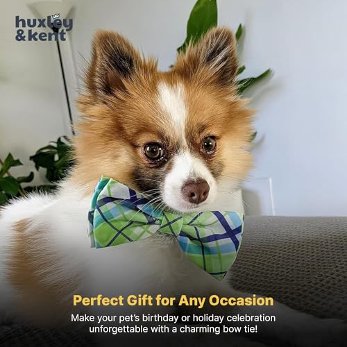 Pet Bow Tie for Dogs & Cats (Small)