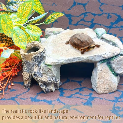 Reptile Hide Cave