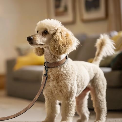 Soft PU Leather Dog Collar (M: Neck 11-15", Width ¾" / Brown)