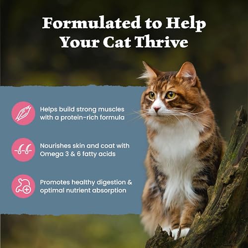Wilderness Salmon Adult Dry Cat Food (15 Pound (Pack of 1))