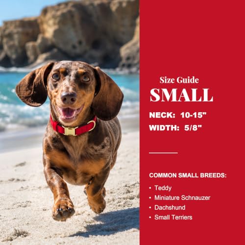 Soft Padded Dog Collar for Small Dogs (Red / S：Fit 10-15" Neck, Width ⅝")