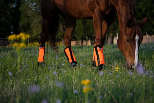 Warrior Fly Boots for Horses (Knight Warrior / Neon Orange)