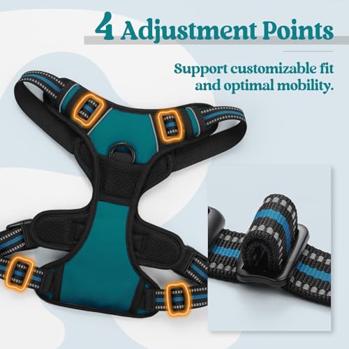 Dog Harness No Pull with 2 Leash Clips (X-Large / Blue Coral)