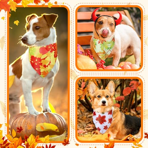 100 Pcs Fall Dog Bandanas Bulk Maple Leaf Print Autumn Pet Bandana (Maple / 25.6 x 17.7 x 17.7")