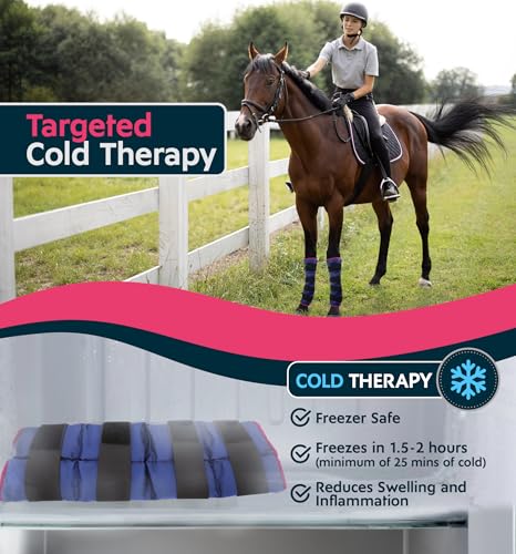 Horse Ice Pack with Carry Case (2 Count (Pack of 2))
