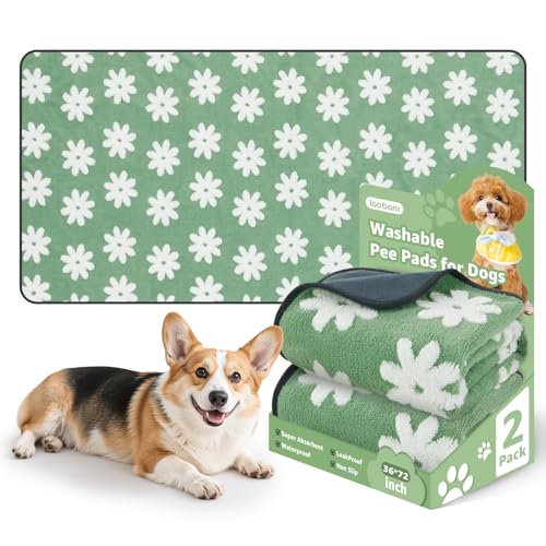 Washable Puppy Pads (Green Daisy / 36"x72"(Pack of 2))