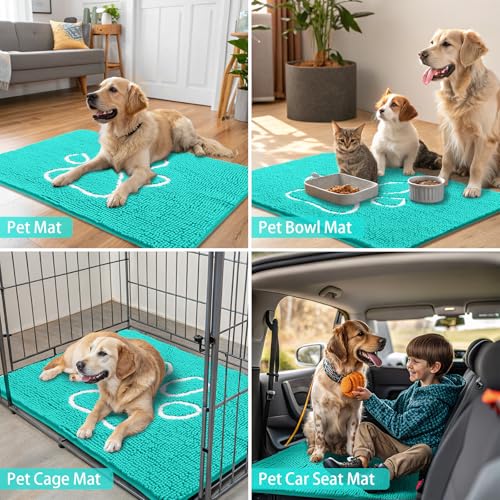 Dog Door Mat for Muddy Paws (24"X16" / Turquoise and White)