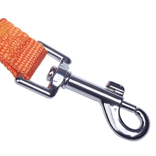 Dog Puppy Obedience Recall Training Agility Lead (Orange / 15 Feet)