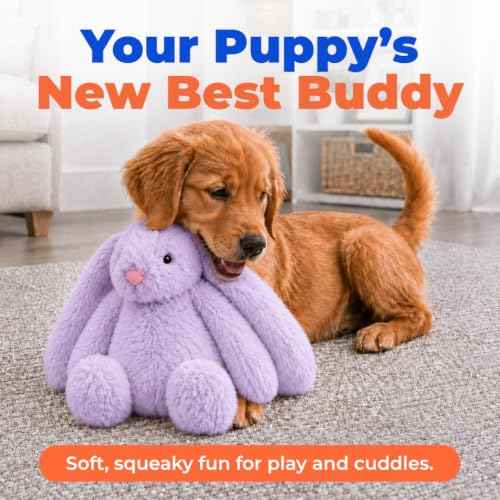 Bunny Buddy Squeaky Plush Dog Toy (Bunny (Purple) / Small)