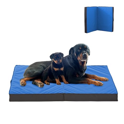 Outdoor Dog Bed (X-Large / Navy Blue)