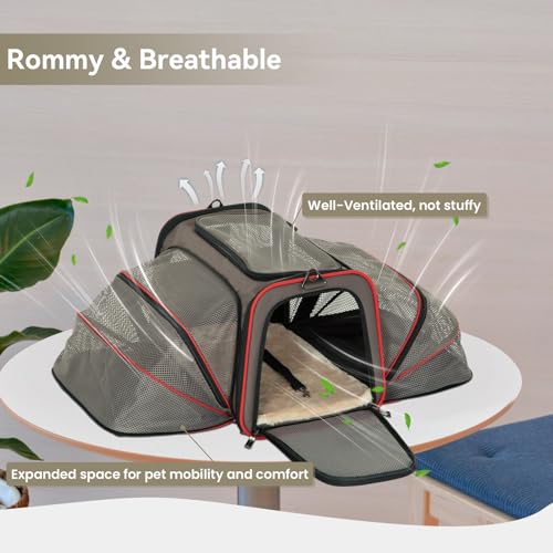 Expandable Cat Dog Carrier for 2 Cats (19"L x 12"W x 12"H / Brown)