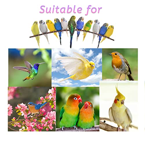 Bird Seagrass Mat