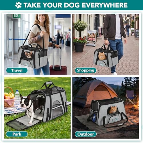 Airline Approved Pet Carrier for Cats & Small Dogs (Light Gray / 17.0"L x 10.2"W x 11.2"H)