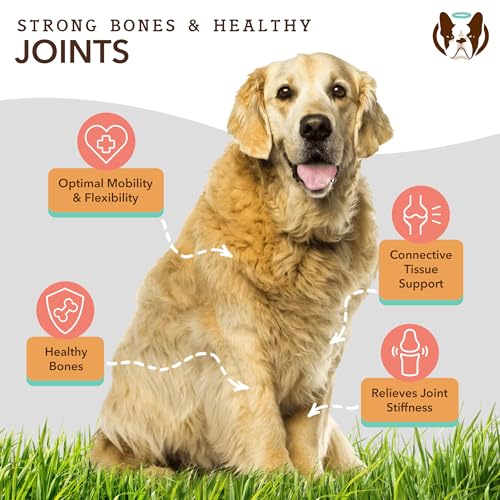 Healthy Joints (2 X16 fl. oz / Bundle)