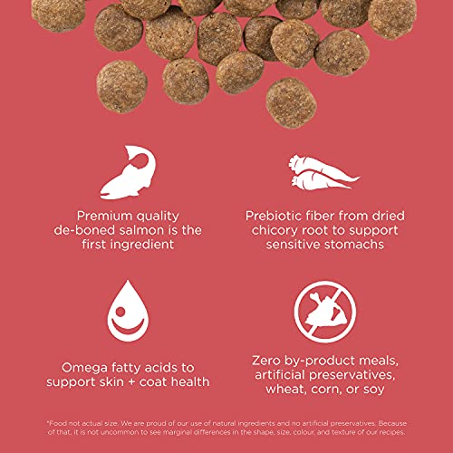 Sensitivities Limited Ingredient Salmon Dry Dog Food (22 Pound (Pack of 1))
