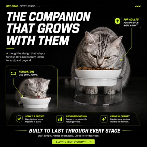 Elevated Cat Bowls (20LBS-3Pack-White-1)