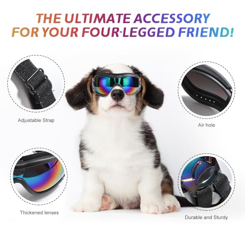 Dog Sunglasses Dog Goggles