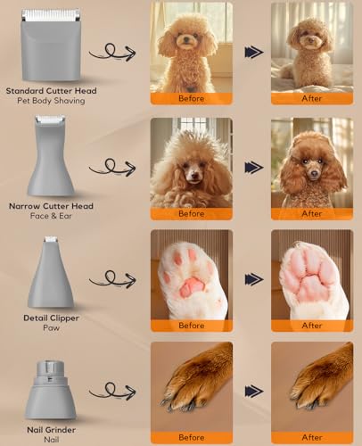 4 in 1 Rechargeable Dog Clippers Grooming Kit with 2 Speeds and Low Noise (Gray)