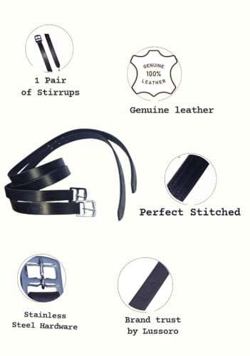 Leather English Riding Horse Saddle Starter Kit for Horse 6 Pcs Riding Gift Set (Size 15)