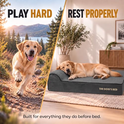 The Dog’s Bed Orthopedic Memory Foam Dog Bed with Headrest Large (Grey Plush / L (40"L x 25"W x 6"Th))